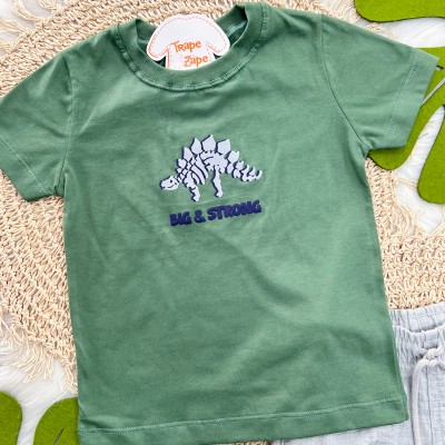 Conj Dinossauro Big Strong Vede